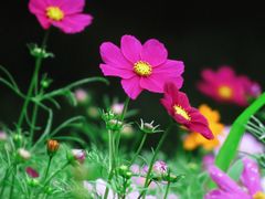 -钟山体育运动公园