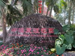 -中澳友谊花园