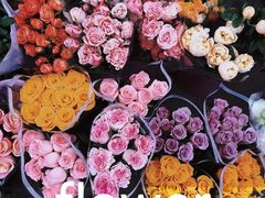 -宝鸡东道花鸟鱼虫市场(吉利花园商场店)