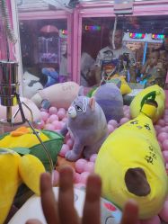 -咔咔海洋之家家庭娱乐中心(亿恒购物中心店)