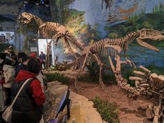-自贡恐龙博物馆