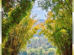 -楠溪江风景名胜区