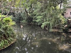 -广州兰圃