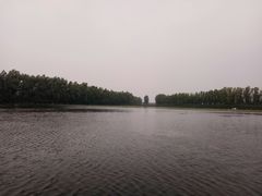 -白洋淀景区