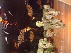 无锡新湖铂尔曼大酒店-无锡新湖铂尔曼大酒店