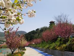 -翠矶山公园