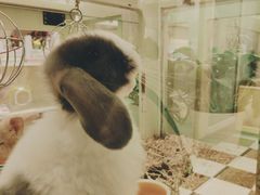 -龙猫仔乐园(惠福东路店)