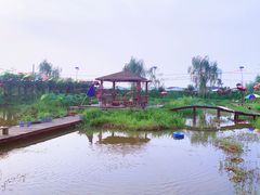 -同銮特种养殖场·龙虾垂钓