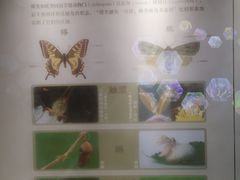 -屈原故里文化旅游区