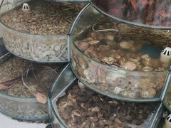 -蟹谢蒸鲜自助餐厅