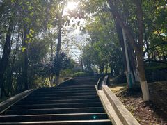 -分塔山省级森林公园