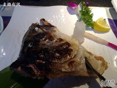火山石烤鲑鱼头-将太无二·北美传奇寿司(瑞士公寓店)