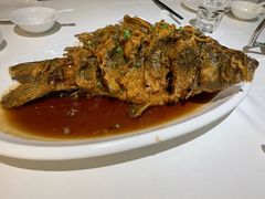 -金春禧(世茂国际广场店)