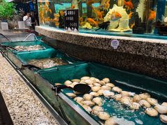 -初色海鲜自助(万丰路店)