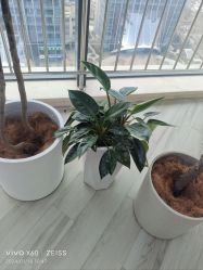 -HEYAN荷妍专业脱毛连锁机构