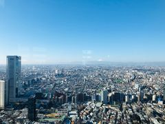 -东京都厅舍