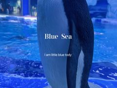 -上海海昌海洋公园