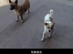 -华中科技大学百景园(三楼酒店)