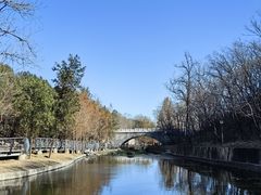 -白水寺森林公园