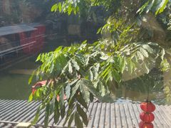 -侨美·唐荔园·40年地道粤菜