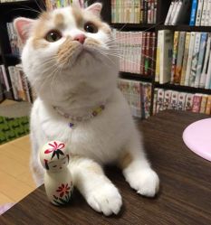 -星耀美业·品质网购