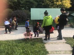 -成都安仁福朋喜来登酒店