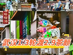 -武汉关码头(轮渡站)