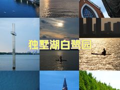 -白鹭园