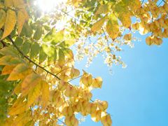 -汉长安城未央宫国家考古遗址公园