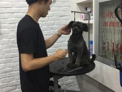 -八公叔叔宠物美容连锁(春申店)