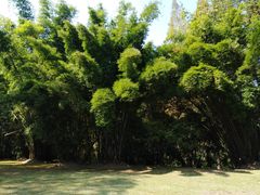 -哈尔滨工业大学(威海校区)