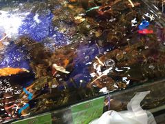 -79号渔船海鲜饭店(华强北店)