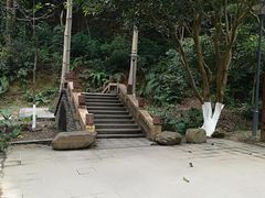 -火炉山森林公园