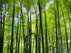 -藏龙百瀑风景区