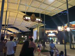 -三亚海昌梦幻海洋不夜城