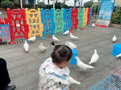 -南昌之星摩天轮