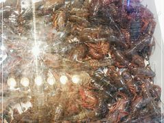 -七裕庄(凯旋南路店)