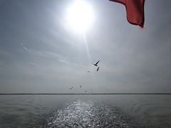 -哈素海