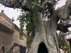 -康百万庄园