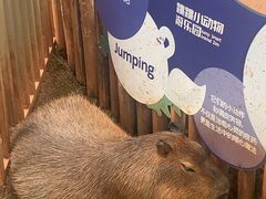 -昆明动物园