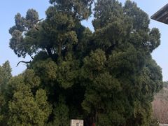 -四门塔风景区