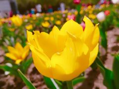 -长春公园(普阳街道)