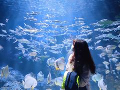 -华夏文旅海洋公园