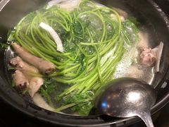 -同仁四季椰子鸡(海岸城天利店)