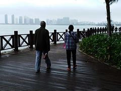 -万绿园