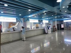 -乔波室内滑雪场