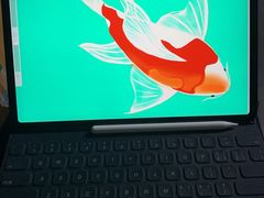 -Apple零售店(成都太古里店)