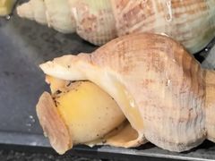 -濠轩阁特色生蚝火锅(水湾路店)