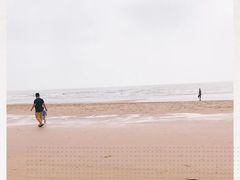 -日照海滨国家森林公园