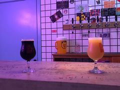 -ZING鲸鱼啤酒(葡萄院店)